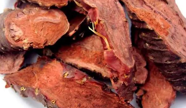 紅景天長什么樣子的圖片 紅景天有哪些功效與作用 紅景天長什么樣子的圖片 紅景天有哪些功效與作用