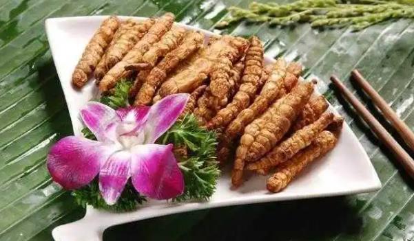 地參長什么樣子的圖片 地參有哪些功效與作用 地參長什么樣子的圖片 地參有哪些功效與作用