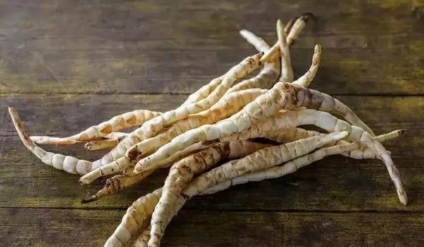 地參長什么樣子的圖片 地參有哪些功效與作用 地參長什么樣子的圖片 地參有哪些功效與作用