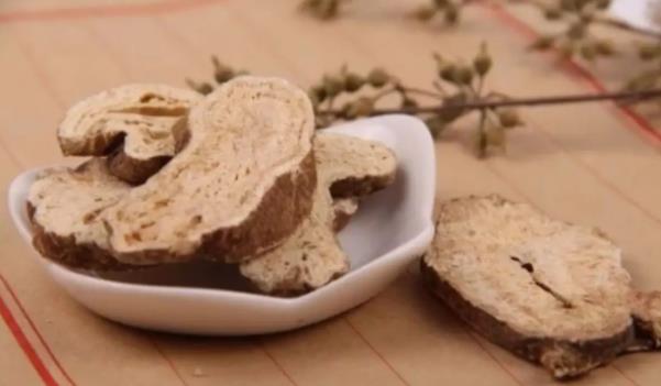 白術長什么樣子的圖片 白術有哪些功效與作用 白術長什么樣子的圖片 白術有哪些功效與作用