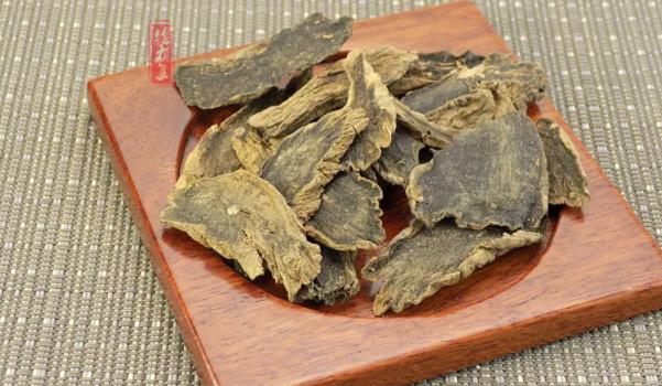 玄參長什么樣子的圖片 玄參有哪些功效與作用 玄參長什么樣子的圖片 玄參有哪些功效與作用