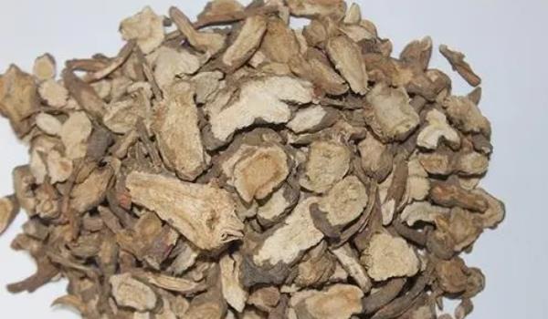 前胡長(zhǎng)什么樣子的圖片 前胡有哪些功效與作用 前胡長(zhǎng)什么樣子的圖片 前胡有哪些功效與作用