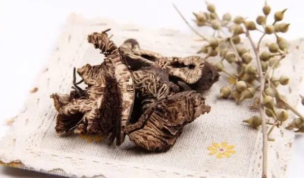 �����L(zh��ng)ʲô���ӵĈDƬ ��������Щ��Ч�c����