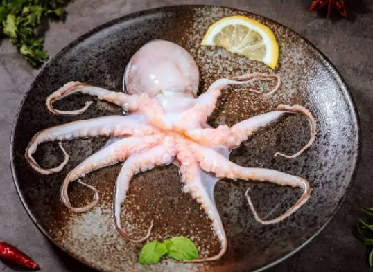 墨魚干泡發(fā)多久比較好?墨魚干和魷魚干的區(qū)別