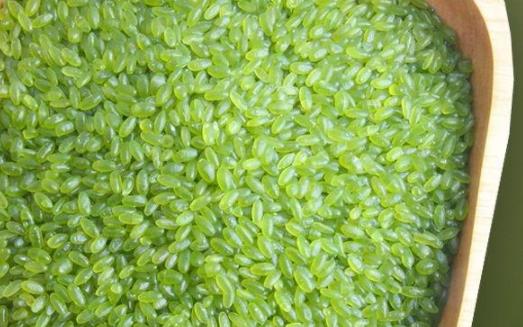 綠竹米煮米飯要不要浸泡 綠竹米蒸米飯多長時間