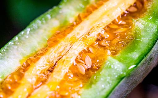 羊角蜜吃完嗓子不舒服是怎么回事 羊角蜜的皮和籽能吃嗎