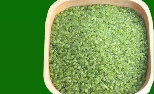 綠竹米煮米飯要不要浸泡 綠竹米蒸米飯多長時間