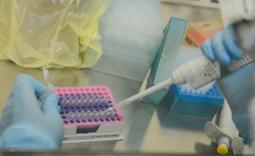 核酸大人有結果小孩沒有為什么 小孩沒做核酸檢測能查出來嗎