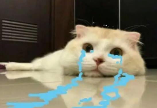 ���Ͽ޵��糿���[Ҫ��ã��޵Ãɂ�������ȫ������ô�k