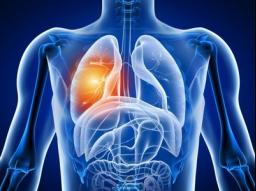 ���S�z���ί������Է��׵��R����Ч