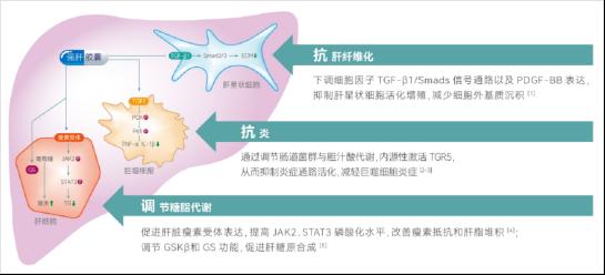 ��(qi��ng)���z���M(j��n)�롶��Ӳ����ˮ���t(y��)�\�����ҹ��R(sh��)��Ҋ��