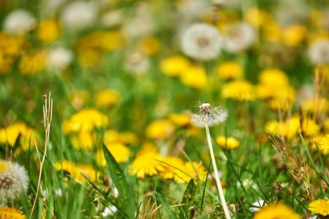 ِ���͵��c����������B��