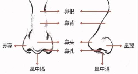 ȫ�������ԭ��������ʲô�^(q��)�e�������ֲ�ʿ���