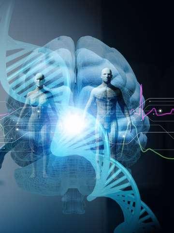 預防阿爾茨海默病的秘訣:擁有健康生活與心態 預防阿爾茨海默病的秘訣:擁有健康生活與心態