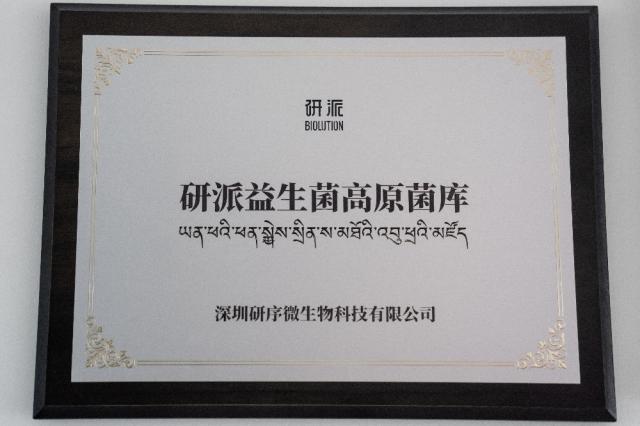 �������w�ȭh������������ȫ���׿�����������