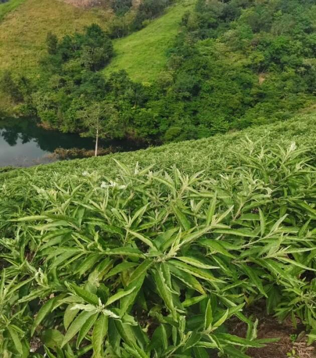 ǧ����ˎ����ˎ�� ����ˬ�ں����� �ٴεǰ�2022�꣭2023�ꡰ�Ї���ͥ����ˎ��