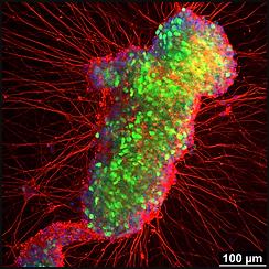 ���ݴ�W��ɼ����У���о���ʾ���ƄӸɼ����ϻ����P�I�C��