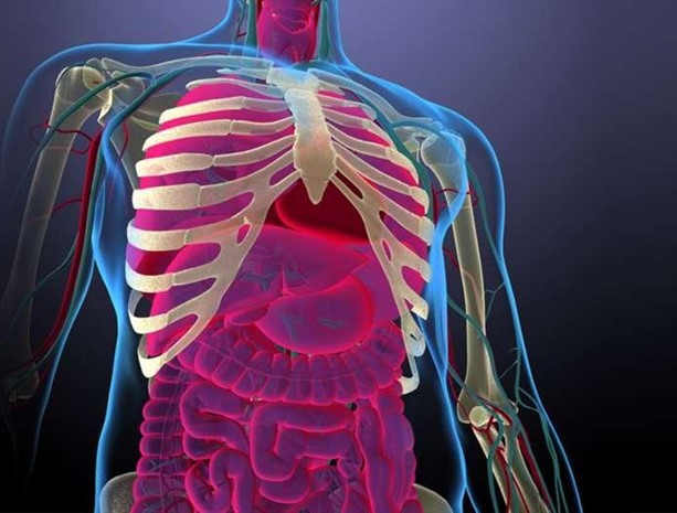 ���ݴ�W��ɼ����У���о���ʾ���ƄӸɼ����ϻ����P�I�C��