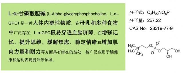 揭秘腦力提升的“關鍵先生”,GPC讓思維更加敏捷!