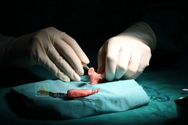 9��21����h�������Ǻ��tԺ��ʮ�ڶ����칫�����\����M���У�