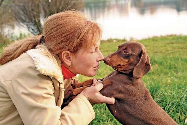 UCLA Health�����팙���^��