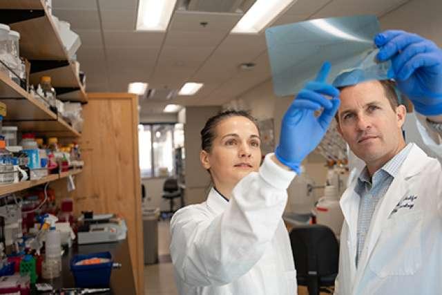 UCLA Health�����팙���^��