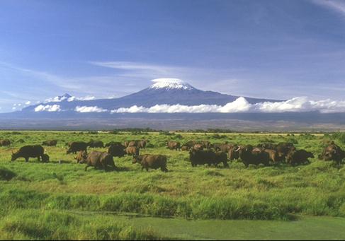 世界上最大的高原是什么?巴西高原的氣候特征