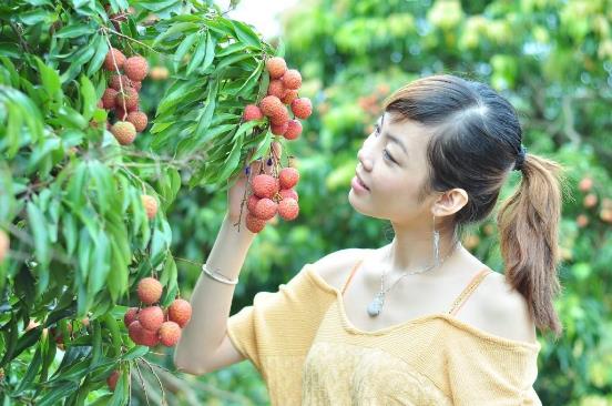 世界上最貴的荔枝 每顆1.2萬 增城拍賣世界最貴水果掛綠荔枝6.jpg