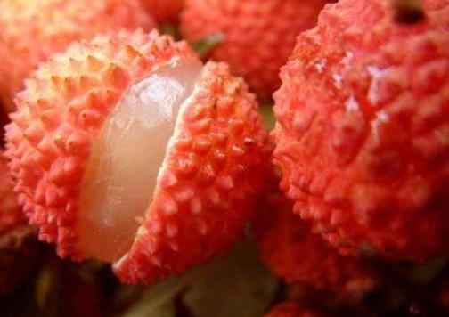 世界上最貴的荔枝 每顆1.2萬 增城拍賣世界最貴水果掛綠荔枝9.jpg