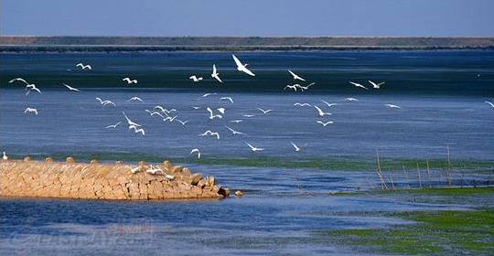 世界上最大的沙島是什么島?崇明島是世界上最大的河口沖積島