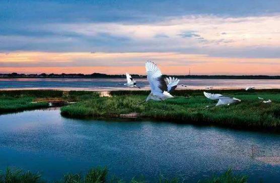 世界上最大的沙島是什么島?崇明島是世界上最大的河口沖積島