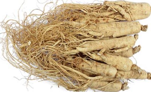 世界最大最重的人參 最重的人參重量達469克