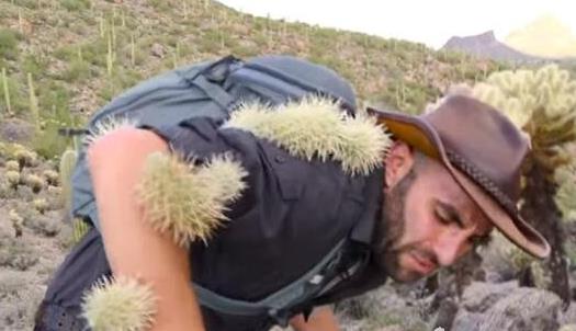 世界上最耐咬的男人 把自己的身體送給猛獸撕咬