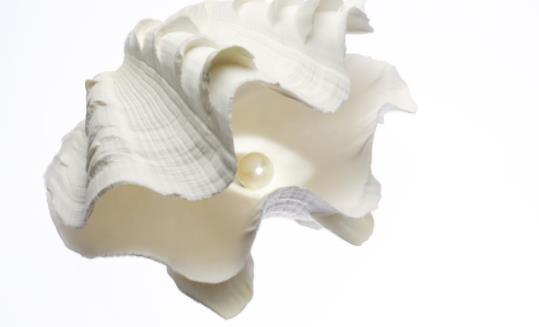 世界上最大的雙殼貝 硨磲長達2米能裝一個人