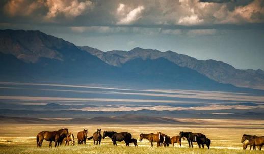 世界上最大的內(nèi)陸國家 哈薩克斯坦272.49萬平方公里 世界第九大國家