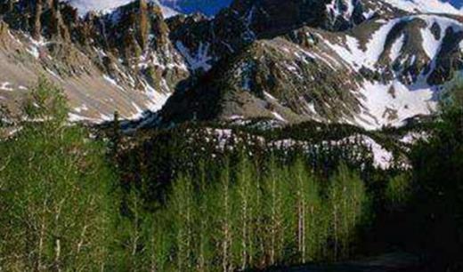 第一大沉積盆地 南美大盆地60萬平方公里 礦產豐富