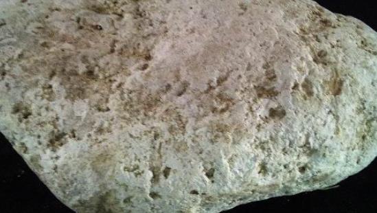 世上最值錢的糞便 小伙撿到龍涎香后賣了500萬