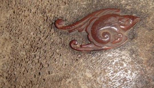 世上最值錢的糞便 小伙撿到龍涎香后賣了500萬