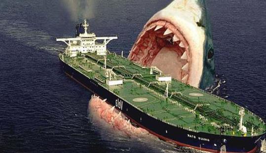 史上最大的鯊魚 巨齒鯊體長19米左右 能捕食鯨魚