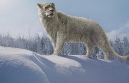 史上最大的獅子 殘暴獅全長可至4米 體重400公斤以上