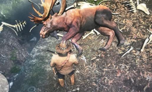 世界上最大的鹿 駝鹿體長至3米 體重達一噸