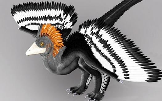 世界上最小的恐龍 小馳龍體長不到四十厘米