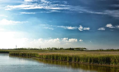 世界上最大的沙島 崇明島面積為1041.21平方公里