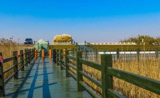 世界上最大的沙島 崇明島面積為1041.21平方公里