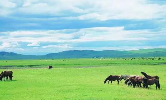 中國最大的城市 呼倫貝爾25.27萬平方公里