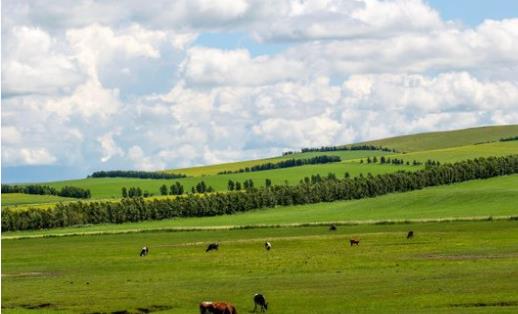 中國最大的城市 呼倫貝爾25.27萬平方公里