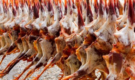 中國十大禁菜排行榜 猴頭因吃法太殘忍被禁