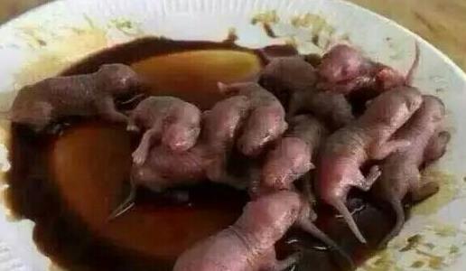 中國十大禁菜排行榜 猴頭因吃法太殘忍被禁