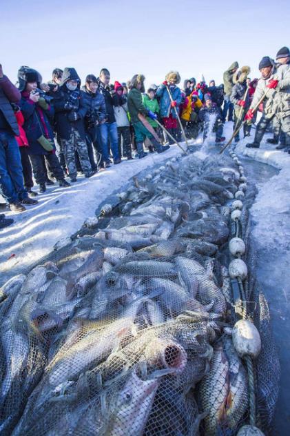 天價!吉林查干湖冬捕 “頭魚”拍出史上最貴價格2966666元