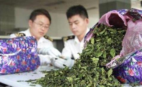 全世界唯一“吃樹葉”的國家,把國家吃垮 巧茶稱為“東非罌粟”